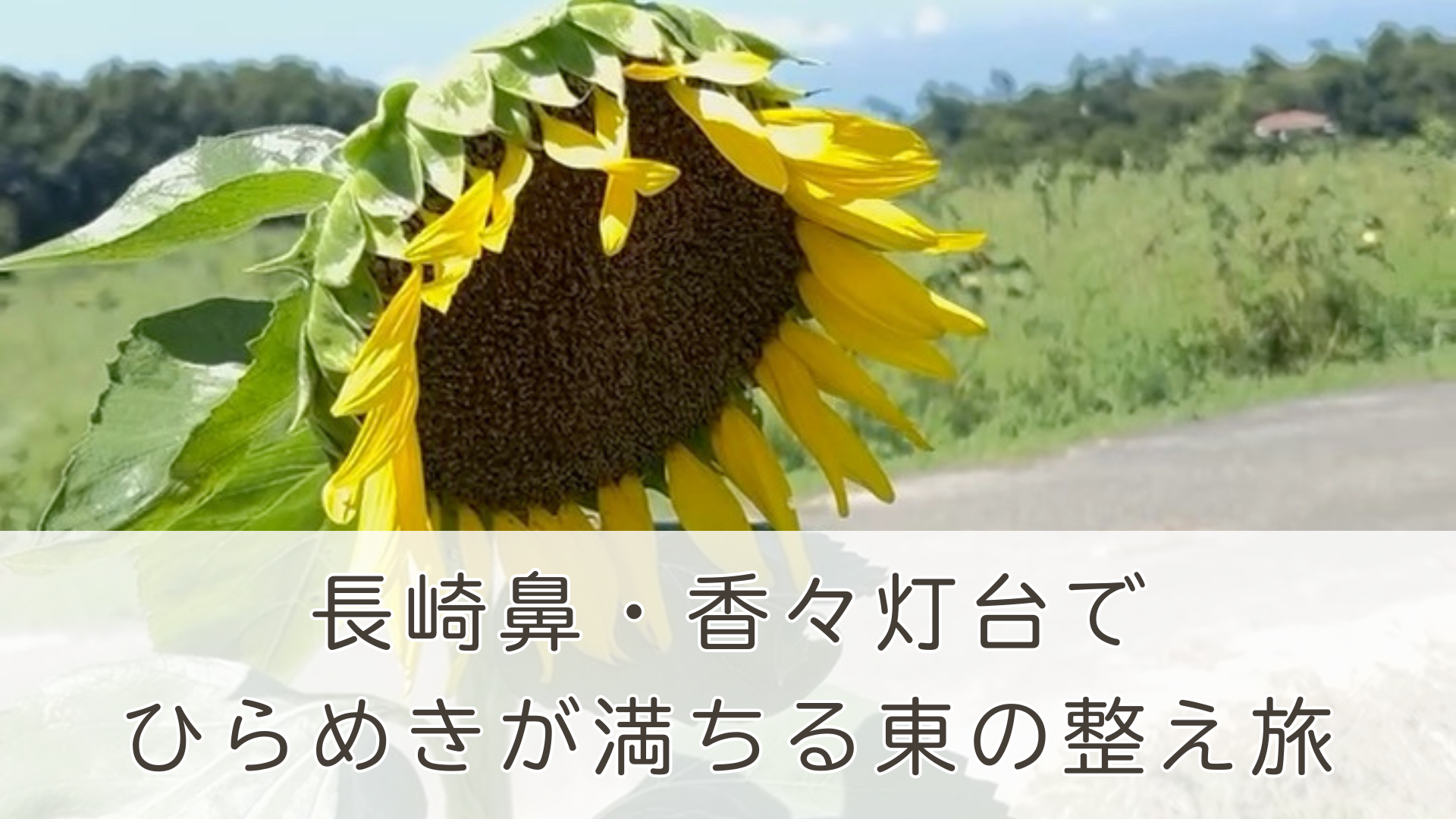 東の吉方位にある大分県・長崎鼻を巡る整え旅。香々地燈台・行者洞穴・ひまわり畑を訪れた60代の開運ドライブ記録